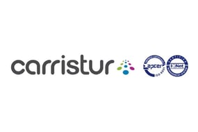 caso de exito SEO carristur